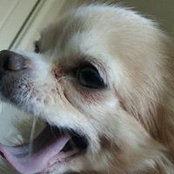 Kristen Demming's photo