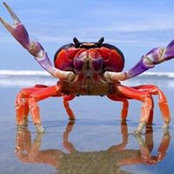 Rita Pagoulatos's photo