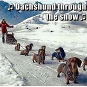 Greg-Kathy Rouse's photo