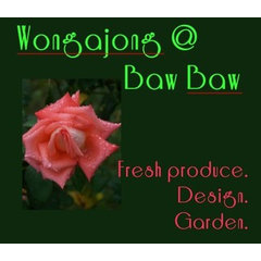 Wongajong @ Baw Baw