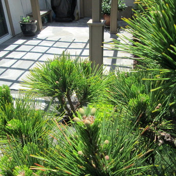 Small & Simple Santa Clara Sanctuary