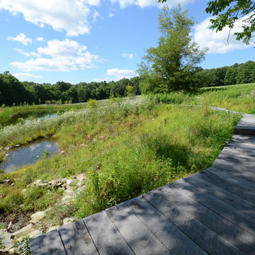 Millerton Retreat: Pond