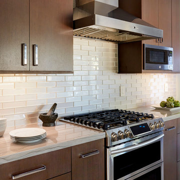 Wenge Contemporary Kitchen