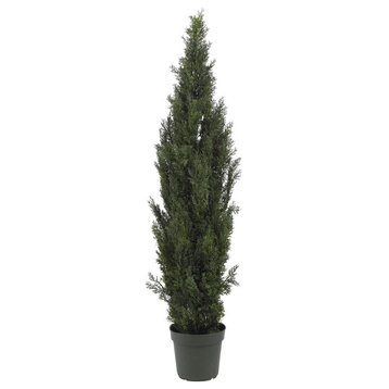 6' Mini Cedar Pine Tree, Indoor/Outdoor