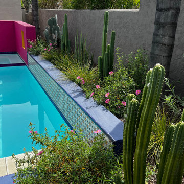 New Mexico in Pasadena