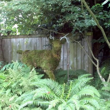 topiary