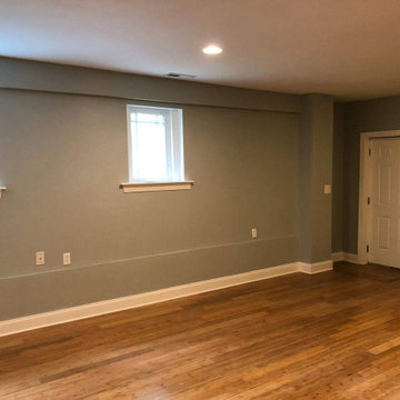 15th St. Contemporary Basement Remodel