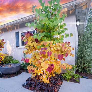 Pasadena Outdoor Living Upgrade with BBQ, Steps & Lighting