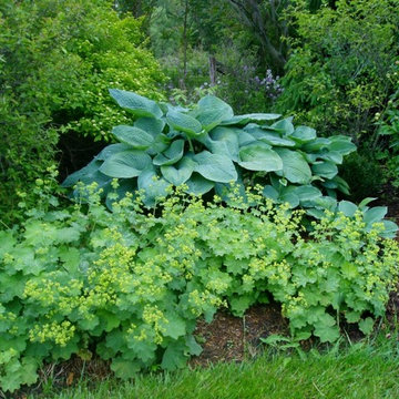 Landscape Projects