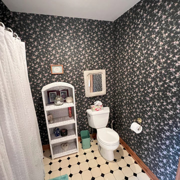 Highland Park Saint Paul bathroom update