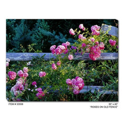 Roses on Old Fence Outdoor Canvas Art - Home Decor