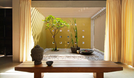 A Beginner's Guide to a Seductive Sensory Garden