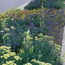northville garden
