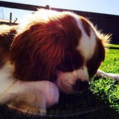 Moo Cooper's photo