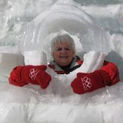 Nancy Sehring's photo