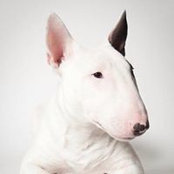 Arthur Subbotkin's photo