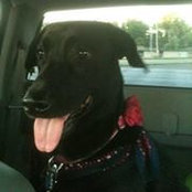Sue Vickers's photo