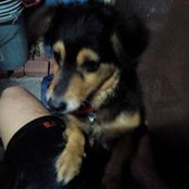 Jon Karlo Manabat's photo