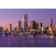 John @ Option One Realty Group's profile photo