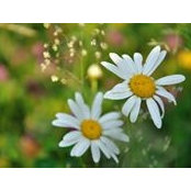 Andrus Maria's photo