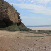 Dana Carr Burke's photo