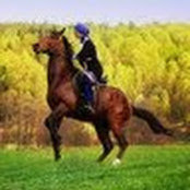Karush Voski's photo