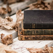 Инна's photo