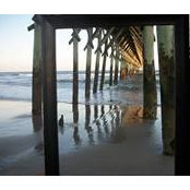 Cindy Dutton's photo
