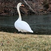 Amanda Glassner's photo