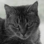 Paige Baker's photo
