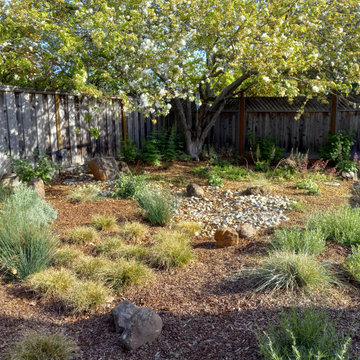 A Garden for Relaxation and Nature Observation