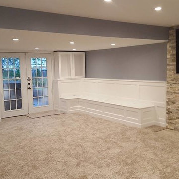 Basement Remodel