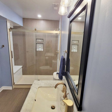 Upper Marlboro, MD Basement with Bathroom