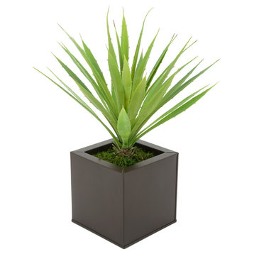 Faux Baby Yucca in Square Zinc Pot, Matte Brown