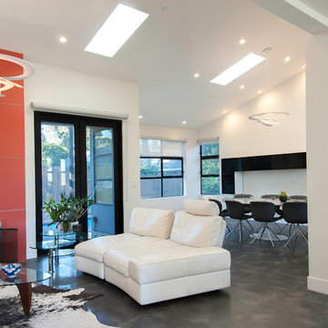 Cupertino Modern House