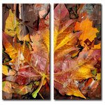 Ready2HangArt - Fall Ink IV, Canvas Wall Art 2-Piece Canvas Art Set, 40" - Bring the cool atmosphere of settling autumn into your interiors with this rusty, 2-piece canvas art set. A larger than life - amber leaf: with piercing points, dominates the forefront. Beneath lays an earthen brown background with fading seasonally toned sprigs. Handcrafted in the U.S.A., this gallery wrapped canvas art arrives ready to hang on your wall. Refine your space with an art piece from Ready2HangArt's Fall Ink collection, which will effortlessly bring a warm essence of autumn to any style of decor.