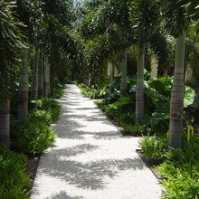 TROPICAL OASIS