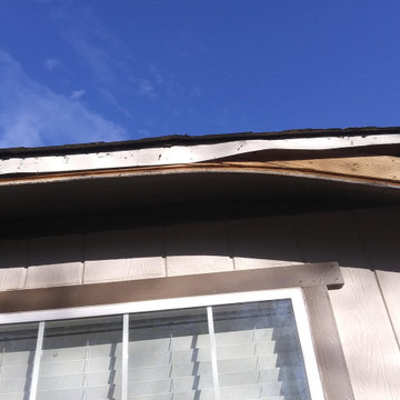 Roof and awning repair