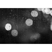 Mohamed Askar's photo