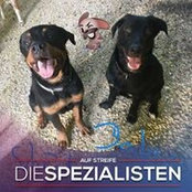 Luisa Degen's photo