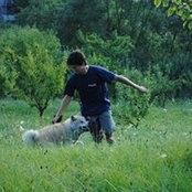 Bogdan Aniさんの写真