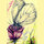 yomna_m