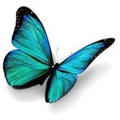 Sheryl Mayflower's photo