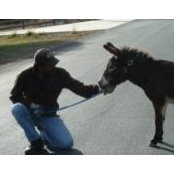 Vincent Mcelhaney's photo