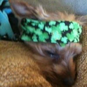 Dora Saenz-belden's photo