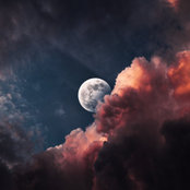 Chris Velkover's photo