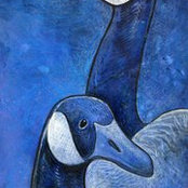 Dana Larsen's photo