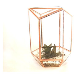 Geometric terrariums by Daring Flowers - Products