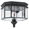 Sea Gull Lighting S8834 2 Light Outdoor Ceiling Fixture from the Hill Gate Colle
