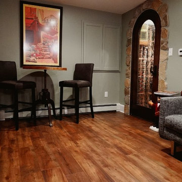 Lower Level Remodel with Wine Cellar